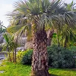 Secret Garden, Ideal For 2,large Terrace Appartamento