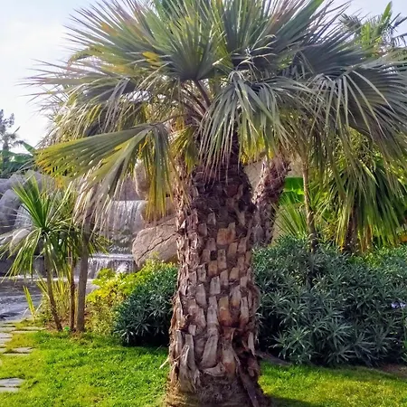 Secret Garden, Ideal For 2,large Terrace Appartamento