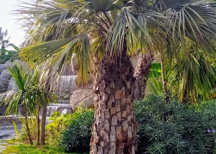 Secret Garden, Ideal For 2,large Terrace Appartement